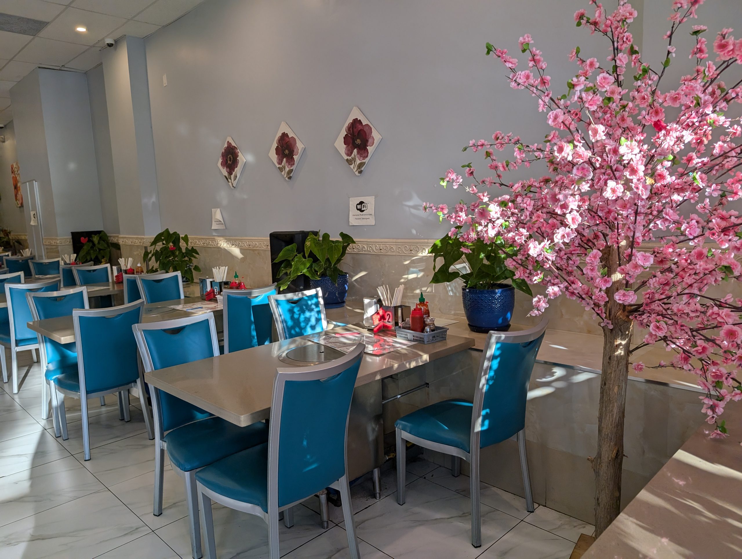 PXL_20241012_210059314